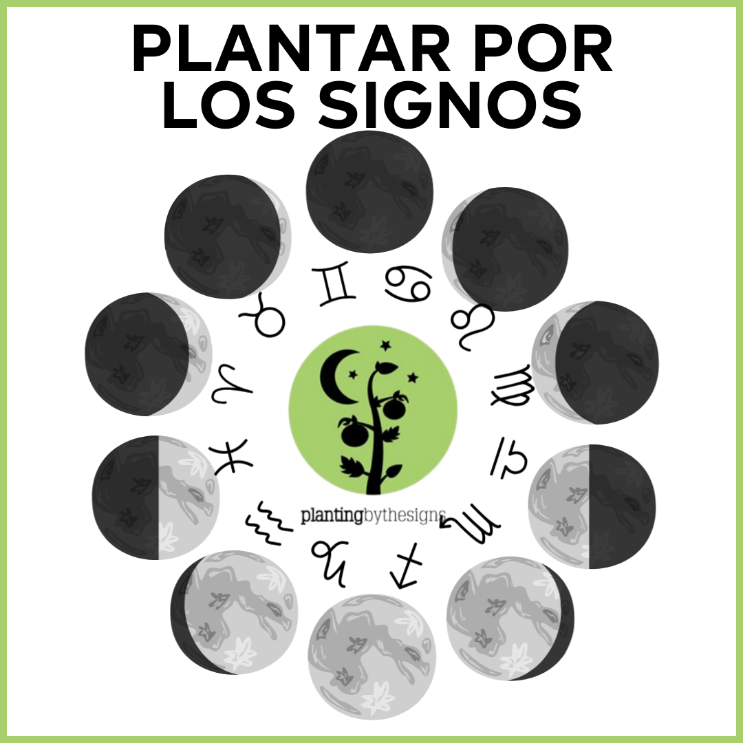 Plantar Por Los Signos - Espanol PBTS
